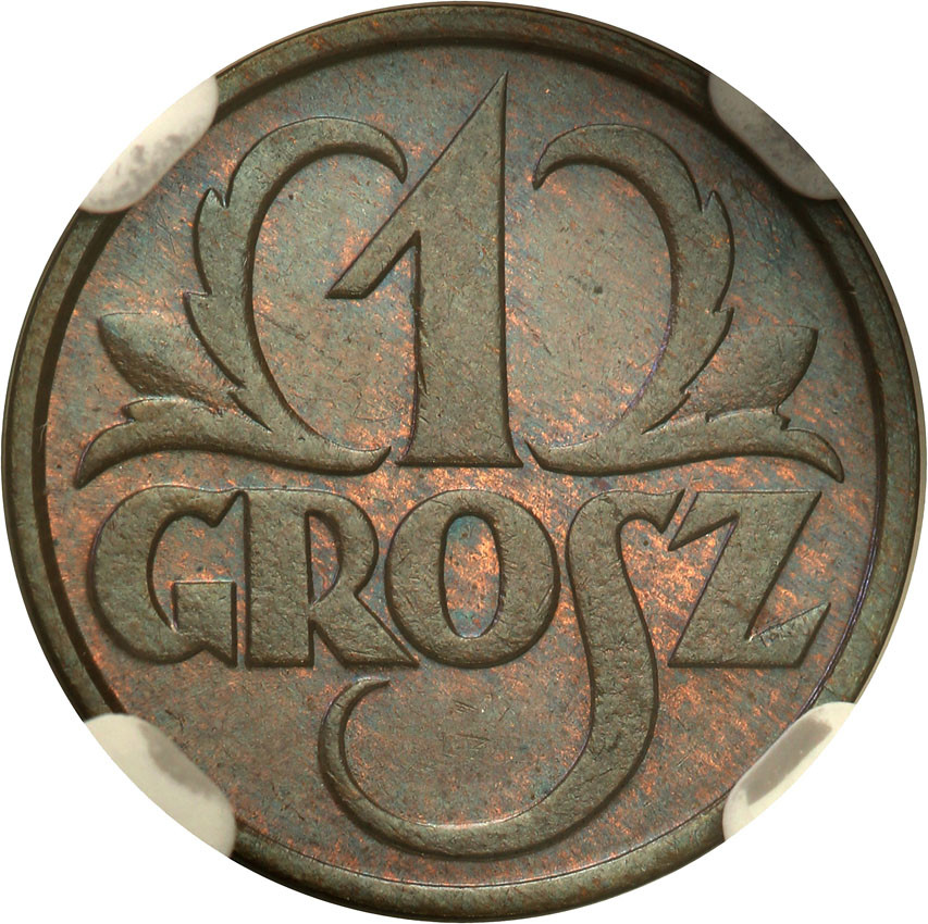II RP. 1 grosz 1928 NGC MS66 BN (2MAX)